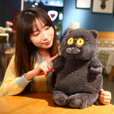 2023 Niedlich / Weich / Cartoon / Katzenplüschtier / Dicke Katzenpuppe / Kindergeburtstagsgeschenk / Weihnachtsgeschenk